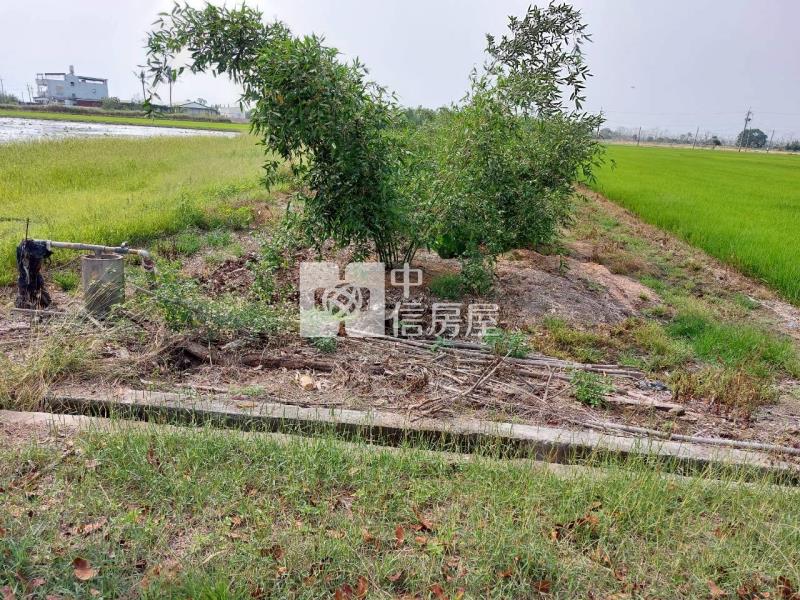 白河近大竹國小臨12米路農地房屋室內格局與周邊環境