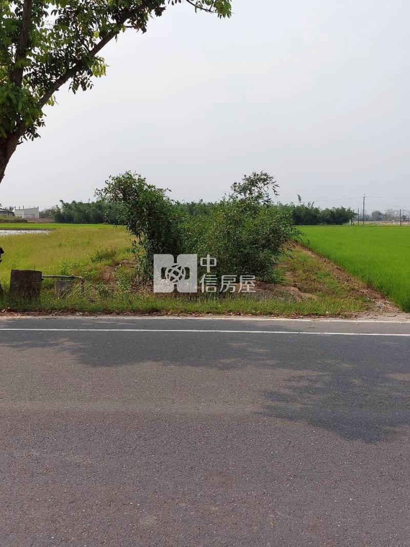 白河近大竹國小臨12米路農地房屋室內格局與周邊環境