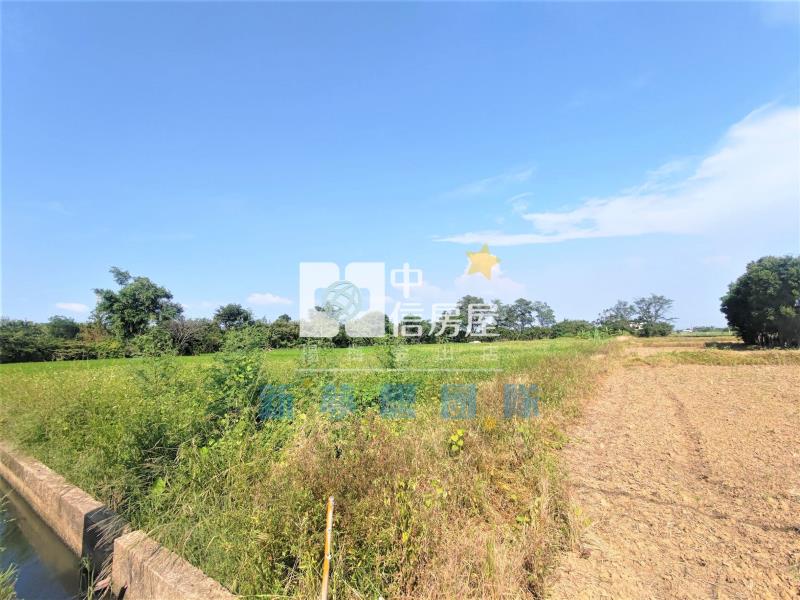 【新夢想】新屋新湖路農地房屋室內格局與周邊環境