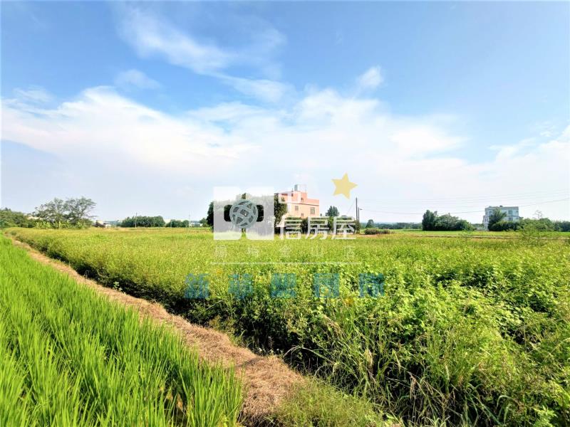 【新夢想】新屋新湖路農地房屋室內格局與周邊環境