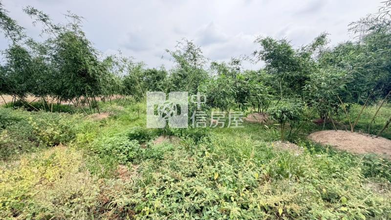 關廟深坑子農地房屋室內格局與周邊環境