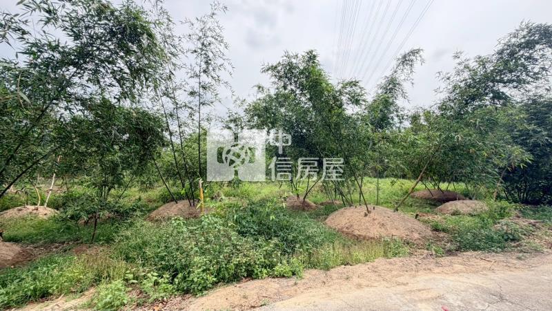 關廟深坑子農地房屋室內格局與周邊環境