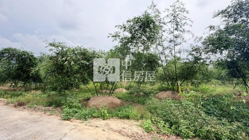 關廟深坑子農地房屋室內格局與周邊環境