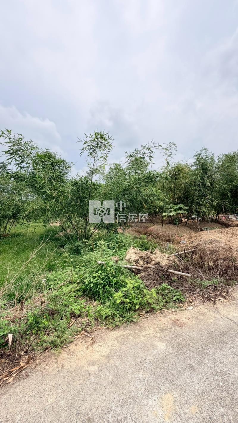 關廟深坑子農地房屋室內格局與周邊環境