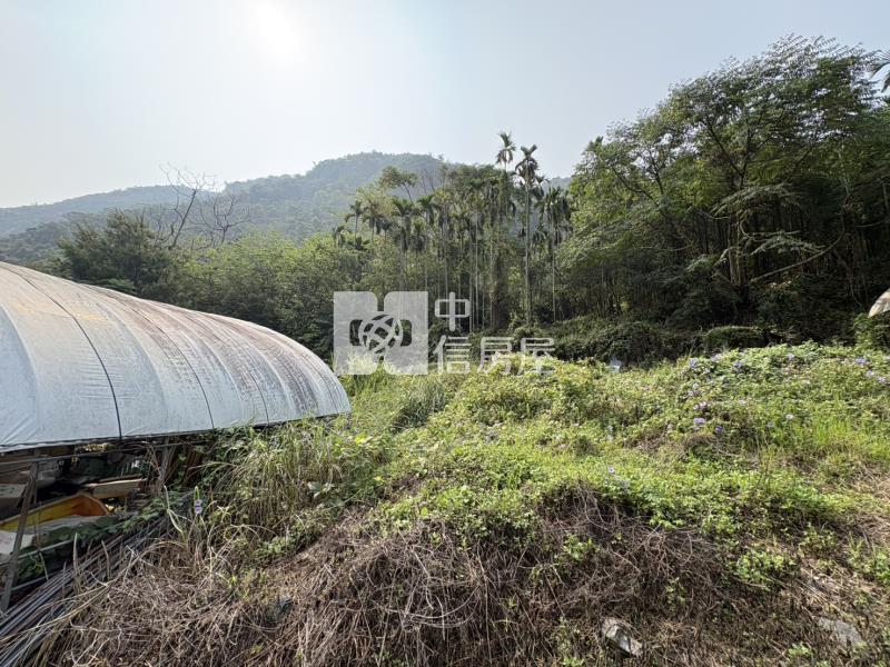 西塔山靜域建地+農地房屋室內格局與周邊環境