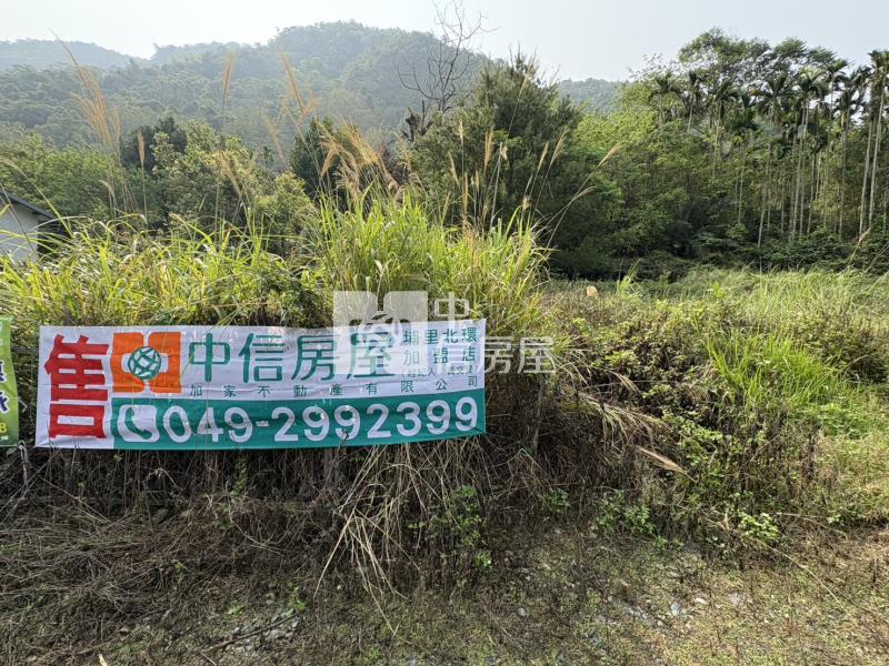 西塔山靜域建地+農地房屋室內格局與周邊環境