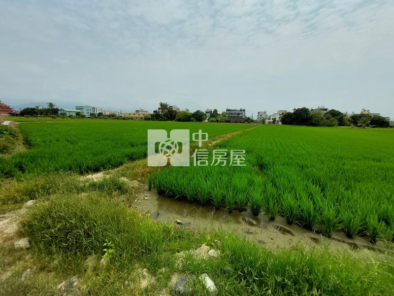 白河近蘭花生技園區農地房屋室內格局與周邊環境