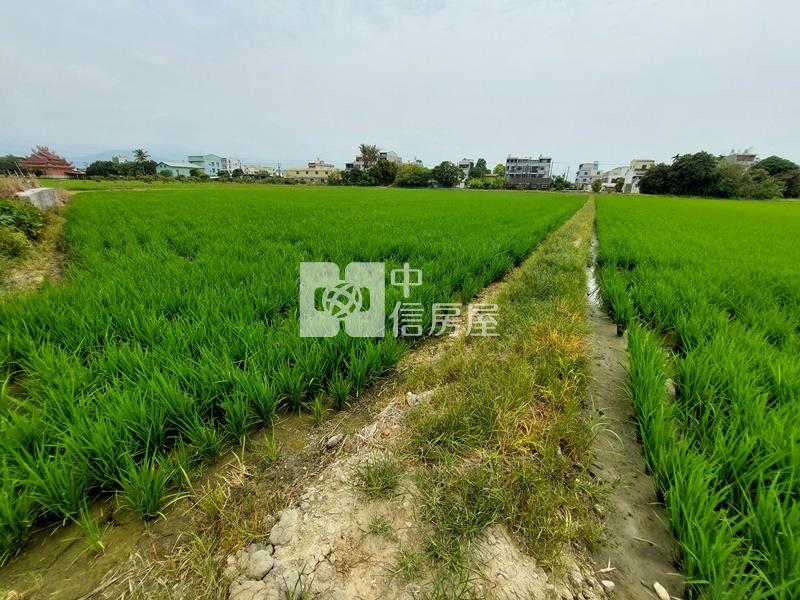 白河近蘭花生技園區農地房屋室內格局與周邊環境