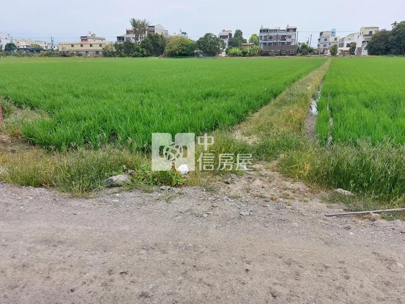 白河近蘭花生技園區農地房屋室內格局與周邊環境