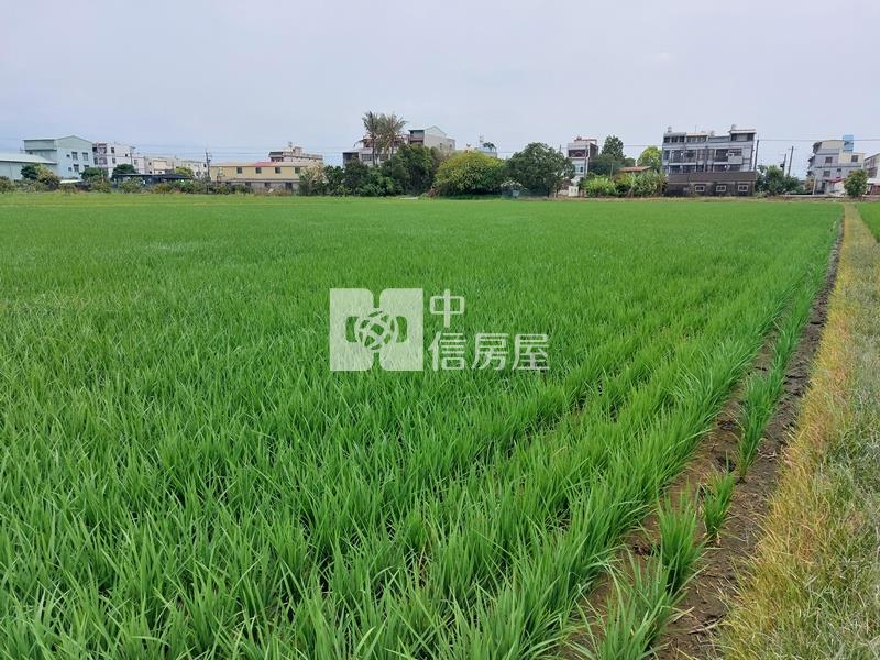 白河近蘭花生技園區農地房屋室內格局與周邊環境