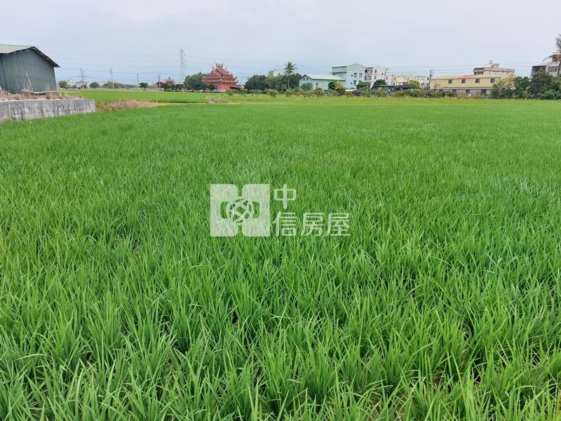 白河近蘭花生技園區農地房屋室內格局與周邊環境