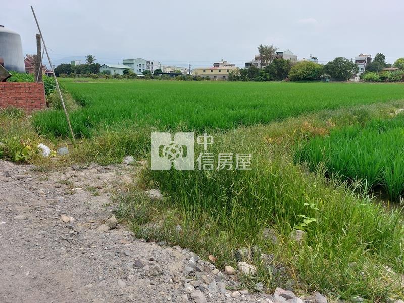 白河近蘭花生技園區農地房屋室內格局與周邊環境