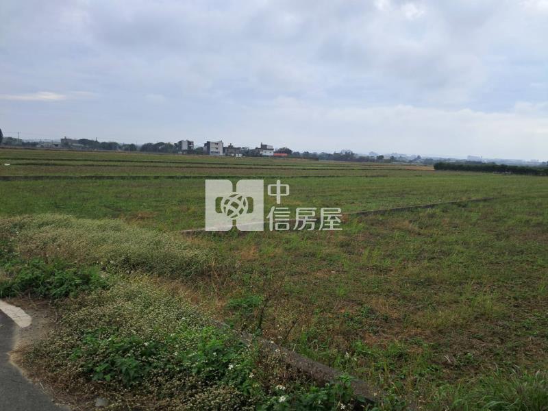 近山東路.福山路旁角地農保田房屋室內格局與周邊環境