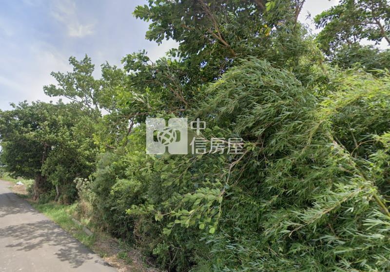 近山東路.福山路旁角地農保田房屋室內格局與周邊環境