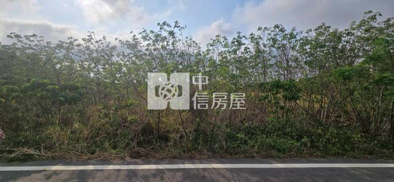 台西和豐農地房屋室內格局與周邊環境