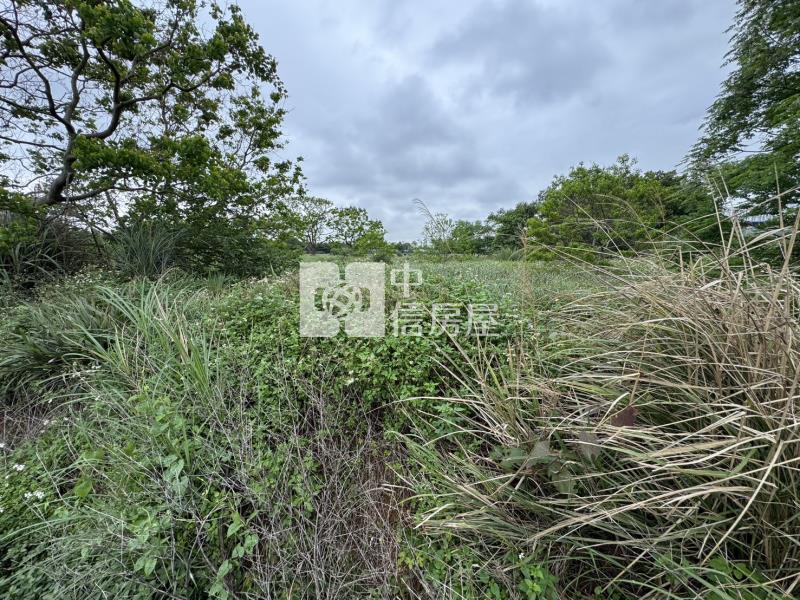 投資近台31線民富路美田房屋室內格局與周邊環境