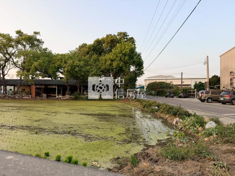 大雅市中心都計內農地房屋室內格局與周邊環境