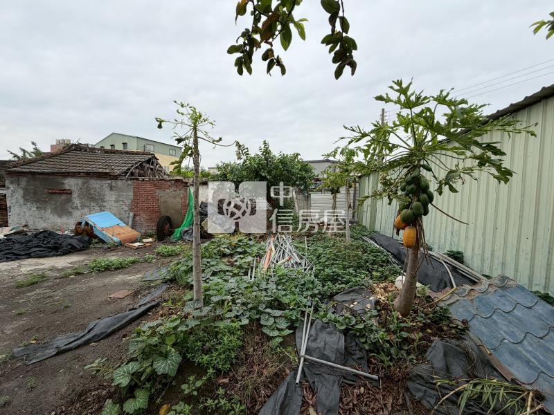東勢東北建地2房屋室內格局與周邊環境