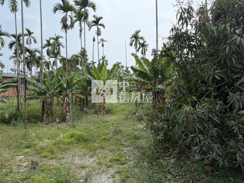 內埔漂亮合法農舍房屋室內格局與周邊環境