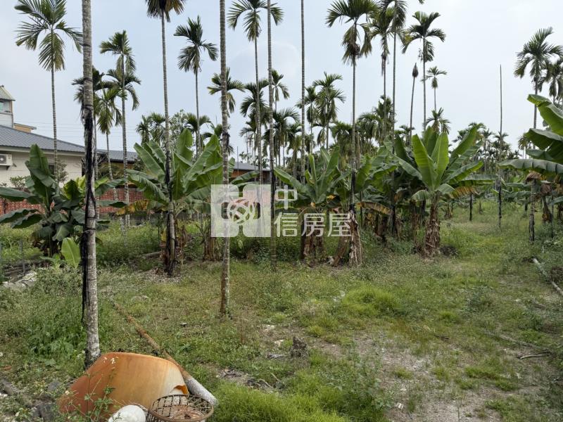 內埔漂亮合法農舍房屋室內格局與周邊環境