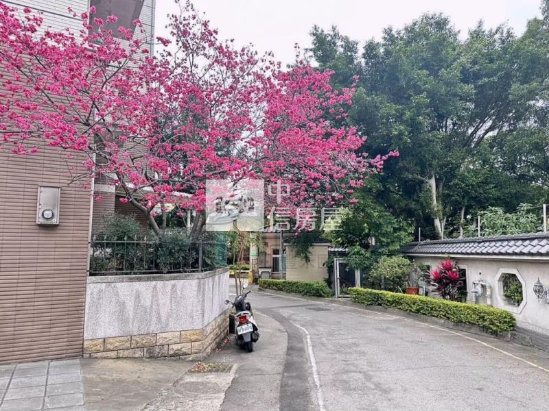 平鎮宋屋雙車位別墅房屋室內格局與周邊環境