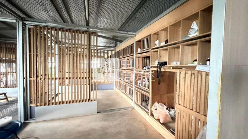 近歸仁高鐵優質鴿舍釋出房屋室內格局與周邊環境