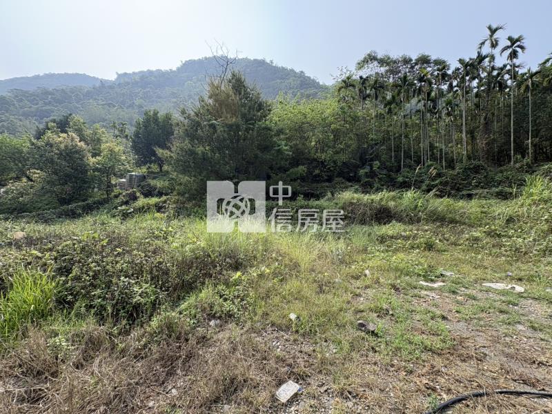 福興兩分半房屋室內格局與周邊環境