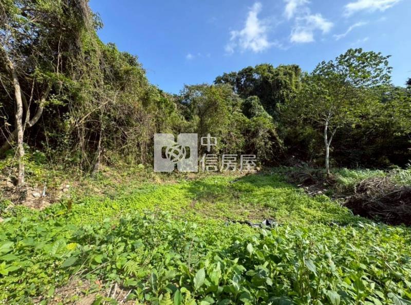 關西坪林國小農地房屋室內格局與周邊環境