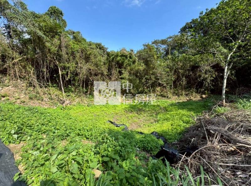 關西坪林國小農地房屋室內格局與周邊環境