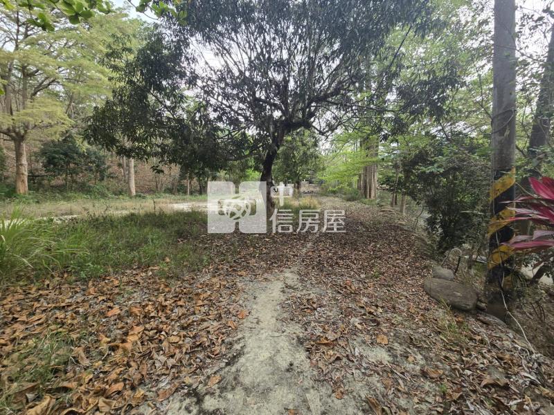 南化渡假休閒山莊(專)房屋室內格局與周邊環境