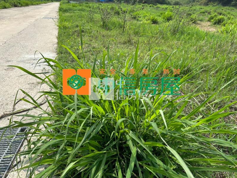 料羅方正建地房屋室內格局與周邊環境