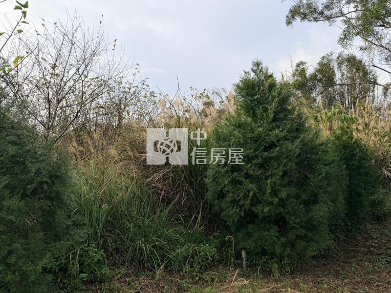 【安家】新竹縣九芎湖農場休閒美農地B房屋室內格局與周邊環境