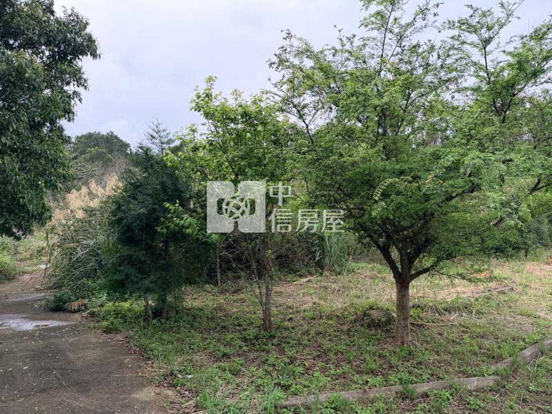 【安家】新竹縣九芎湖農場休閒美農地B房屋室內格局與周邊環境