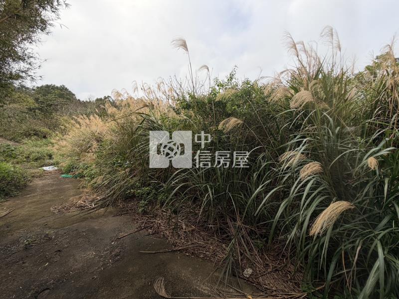 【安家】新竹縣九芎湖農場休閒美農地B房屋室內格局與周邊環境