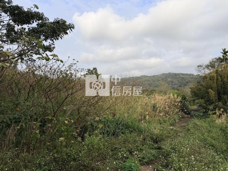 【安家】新竹縣九芎湖農場休閒美農地B房屋室內格局與周邊環境