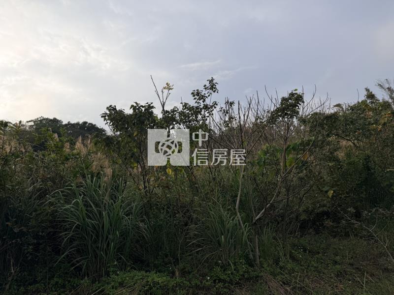 【安家】新竹縣九芎湖農場休閒美農地B房屋室內格局與周邊環境