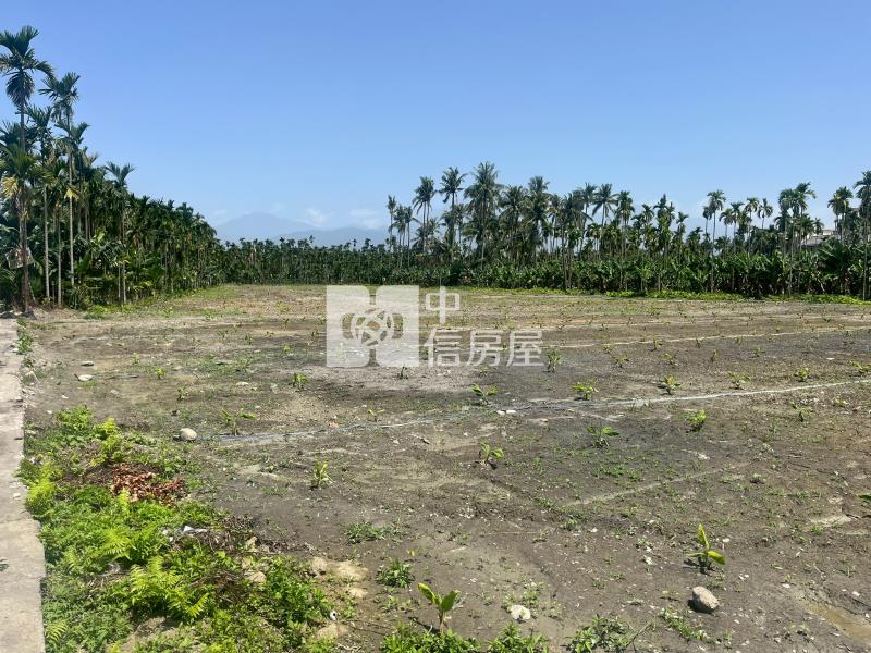 長治郵局都計農地房屋室內格局與周邊環境