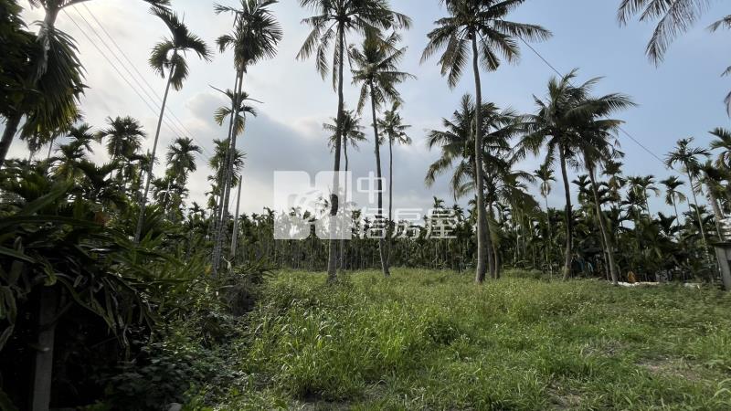 長治香潭段方正農地房屋室內格局與周邊環境