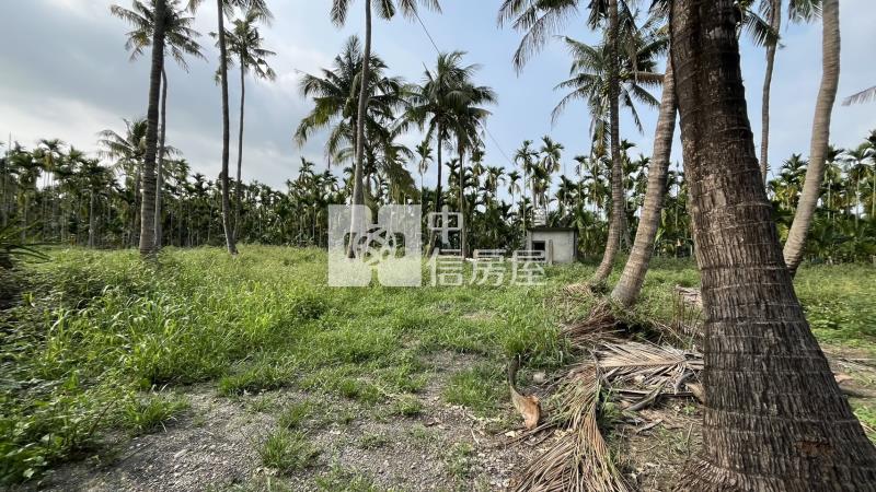 長治香潭段方正農地房屋室內格局與周邊環境