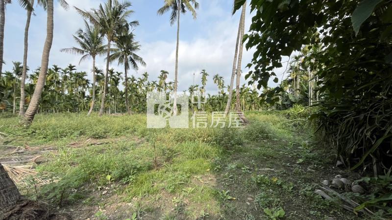 長治香潭段方正農地房屋室內格局與周邊環境