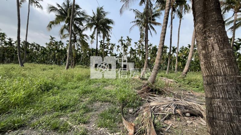 長治香潭段方正農地房屋室內格局與周邊環境