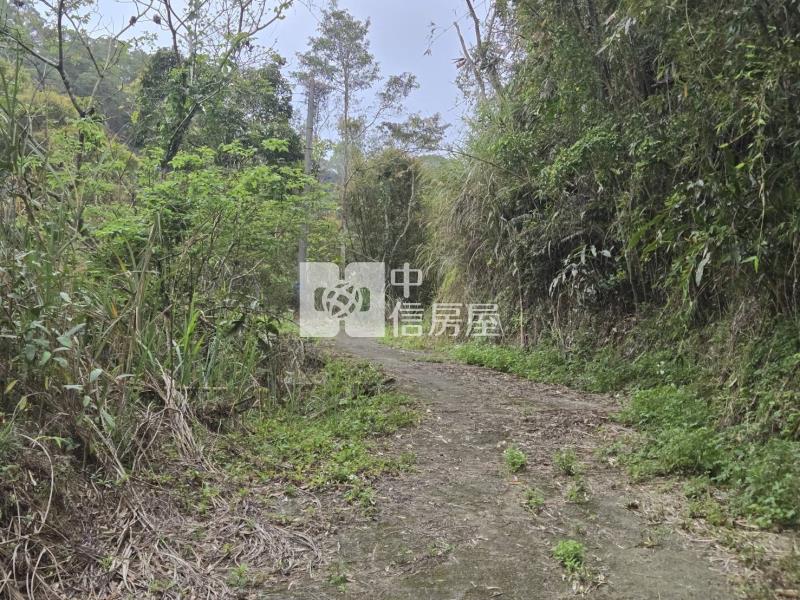 橫山超級便宜農地房屋室內格局與周邊環境