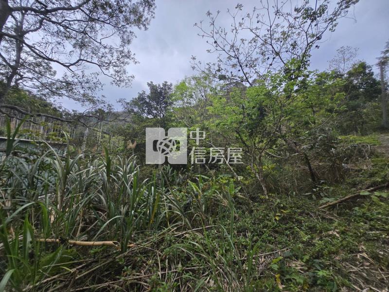 橫山超級便宜農地房屋室內格局與周邊環境