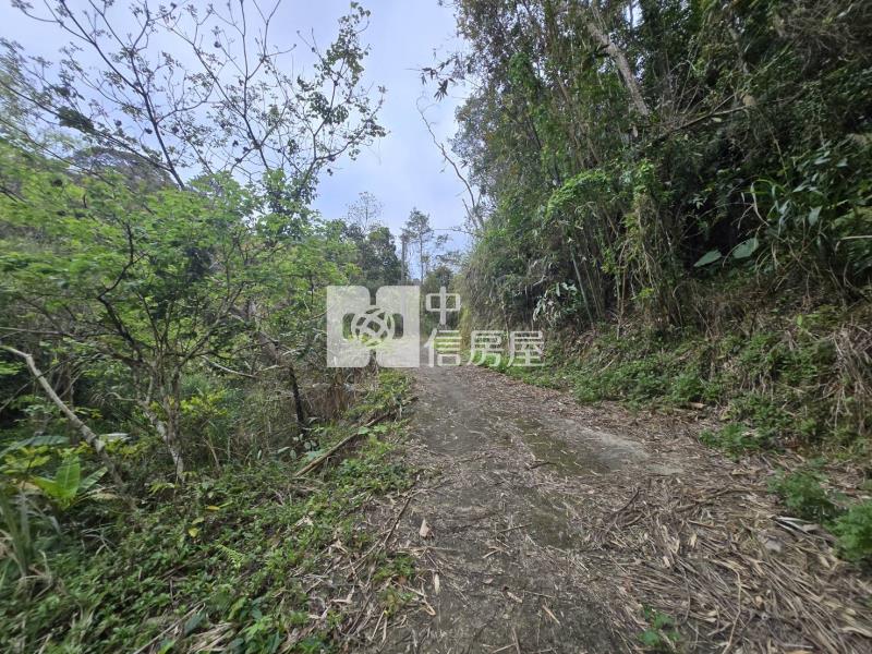 橫山超級便宜農地房屋室內格局與周邊環境