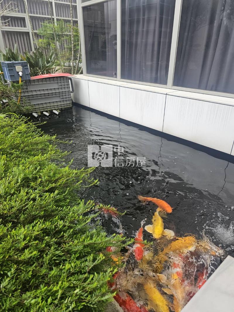 龍潭大隱山莊獨棟電梯別墅房屋室內格局與周邊環境