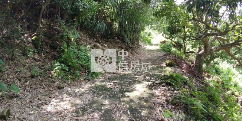 東山2.8甲龍眼桃花木山坡地房屋室內格局與周邊環境