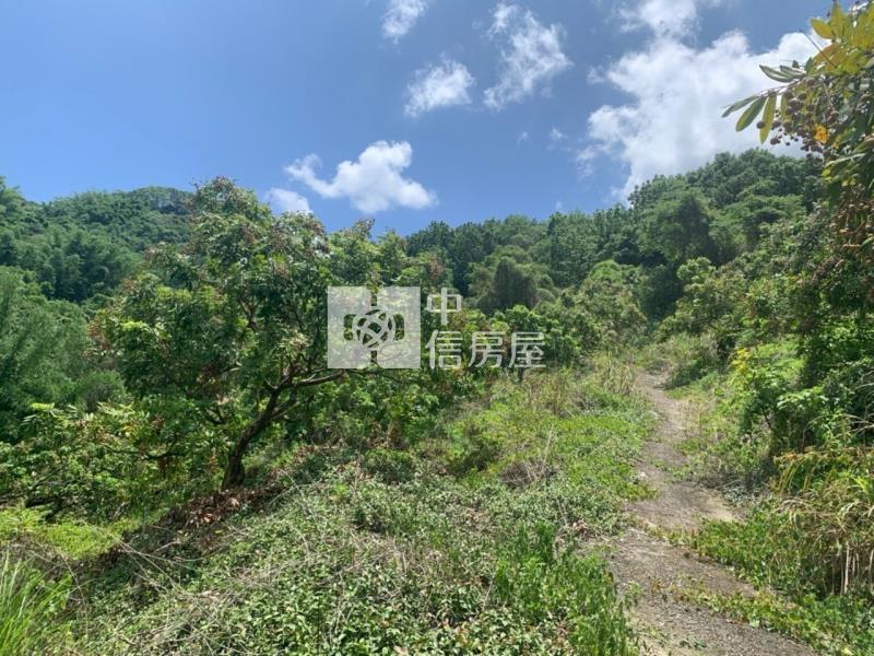 東山2.8甲龍眼桃花木山坡地房屋室內格局與周邊環境