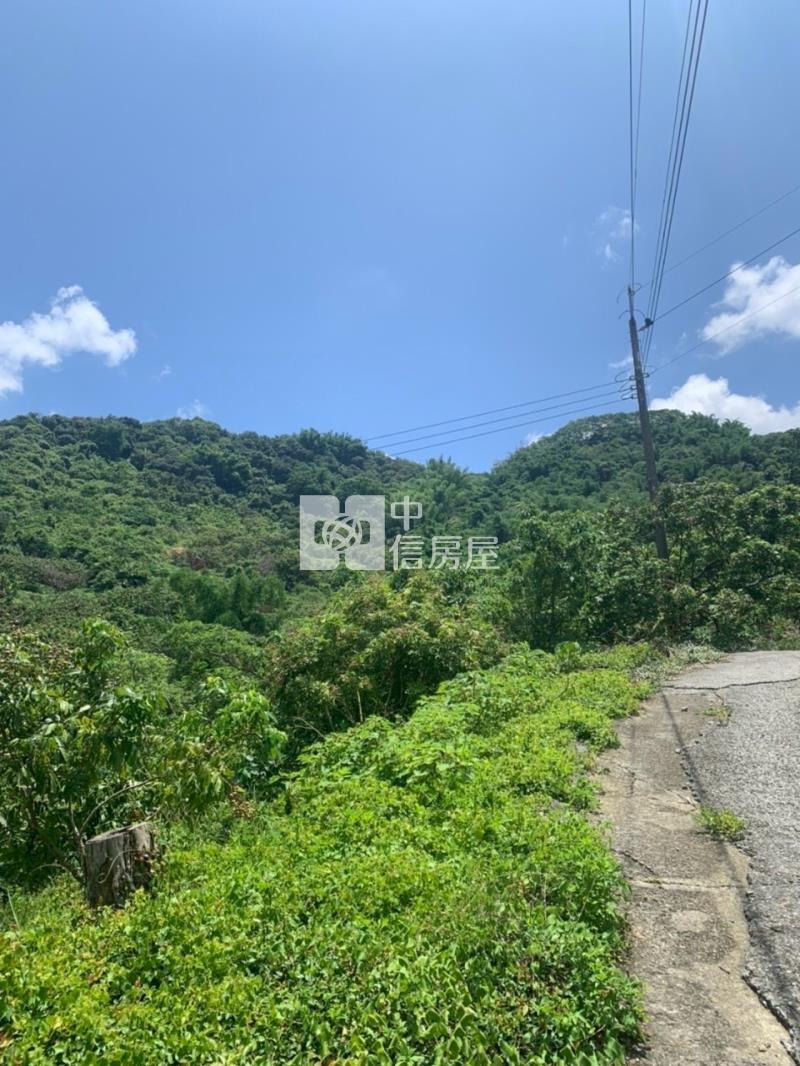 東山2.8甲龍眼桃花木山坡地房屋室內格局與周邊環境