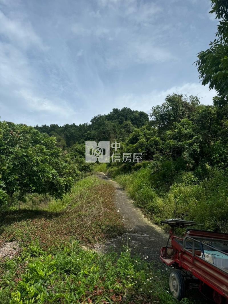 東山2.8甲龍眼桃花木山坡地房屋室內格局與周邊環境