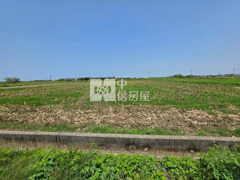 七股竹子港前後臨路10米2分7美農地房屋室內格局與周邊環境